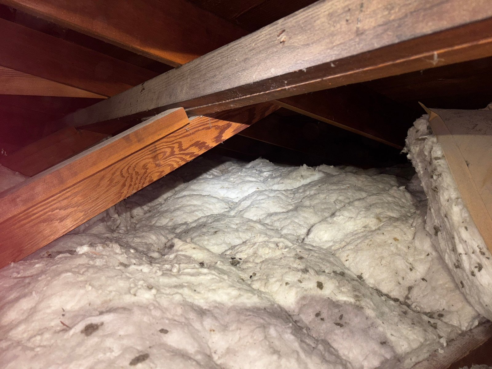 Los Angeles attic before work, old insulation
