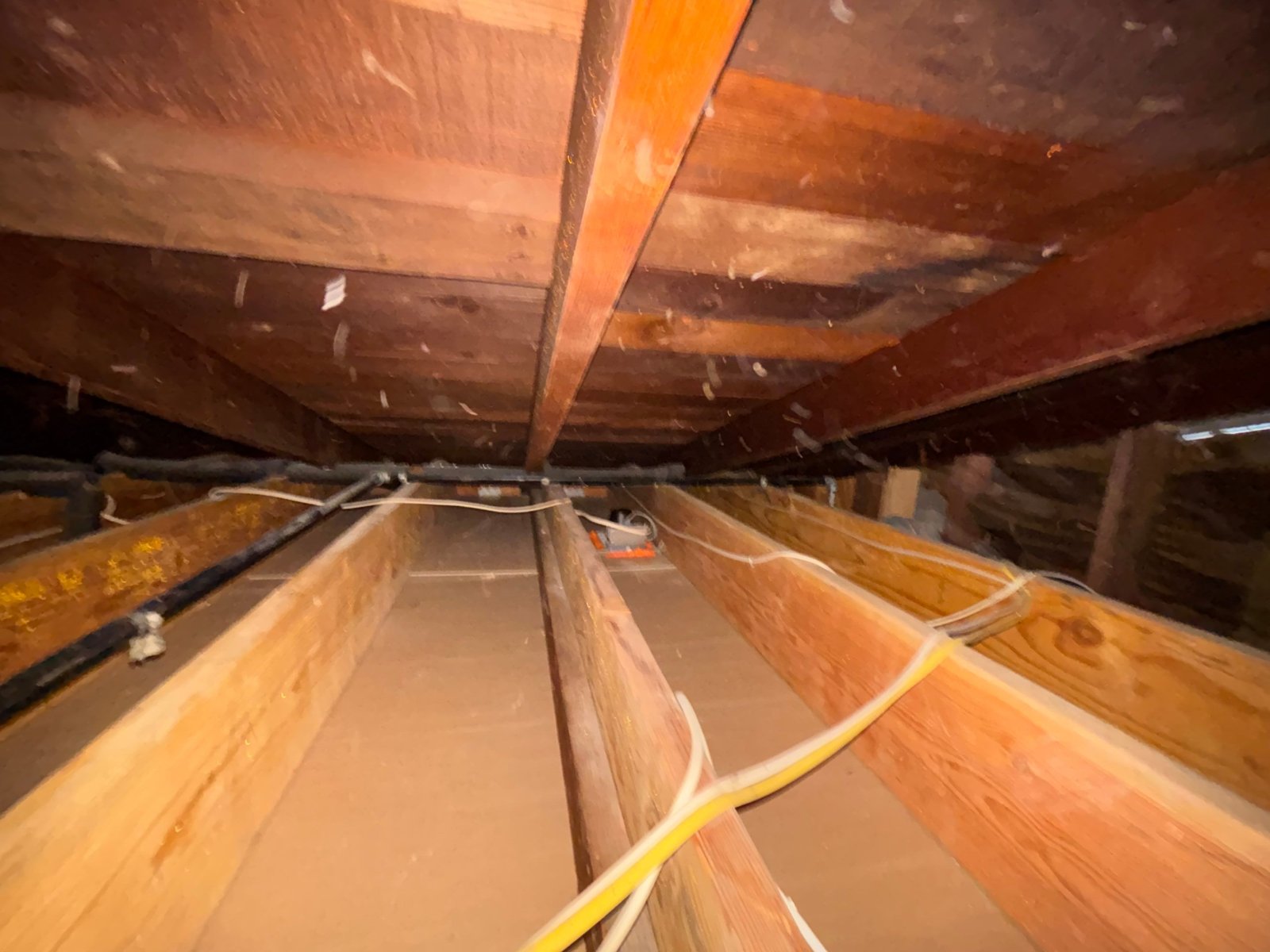 Los Angeles attic after removal, joists and deck cleaned