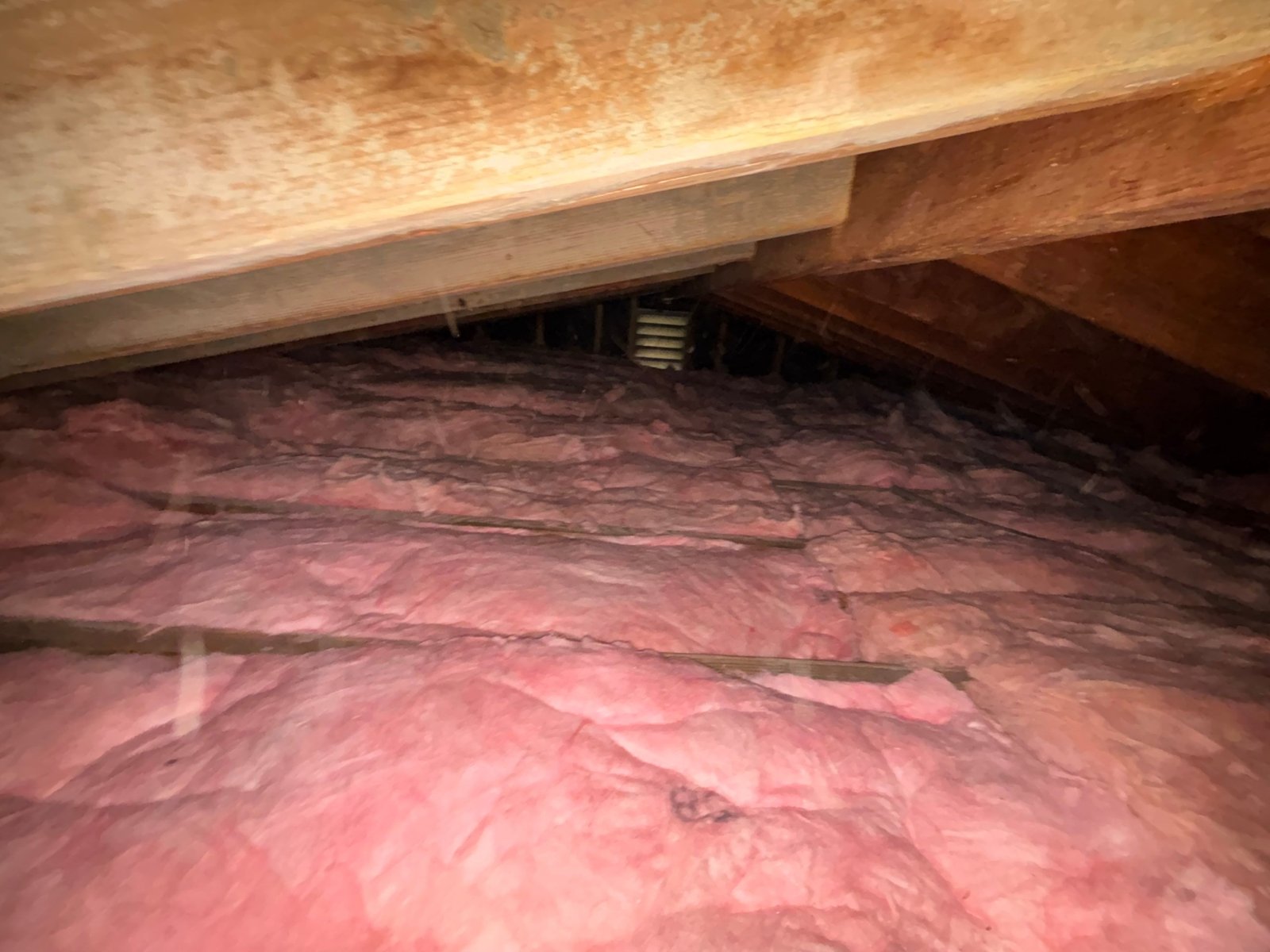 Los Angeles attic after the job, new insulation installed