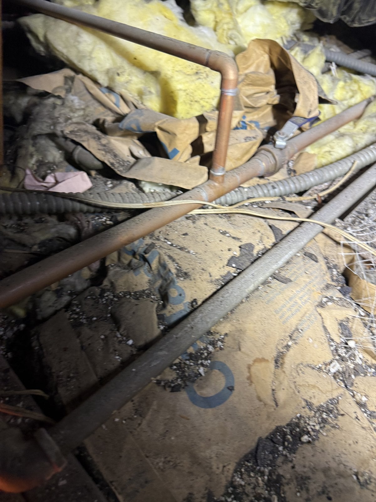 Contaminated old insulation in the Los Angeles attic before work