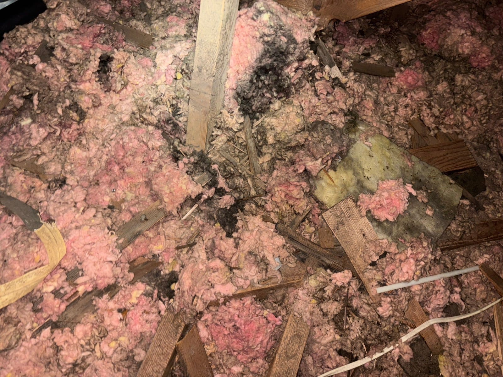 Contaminated old insulation in the Los Angeles attic before work