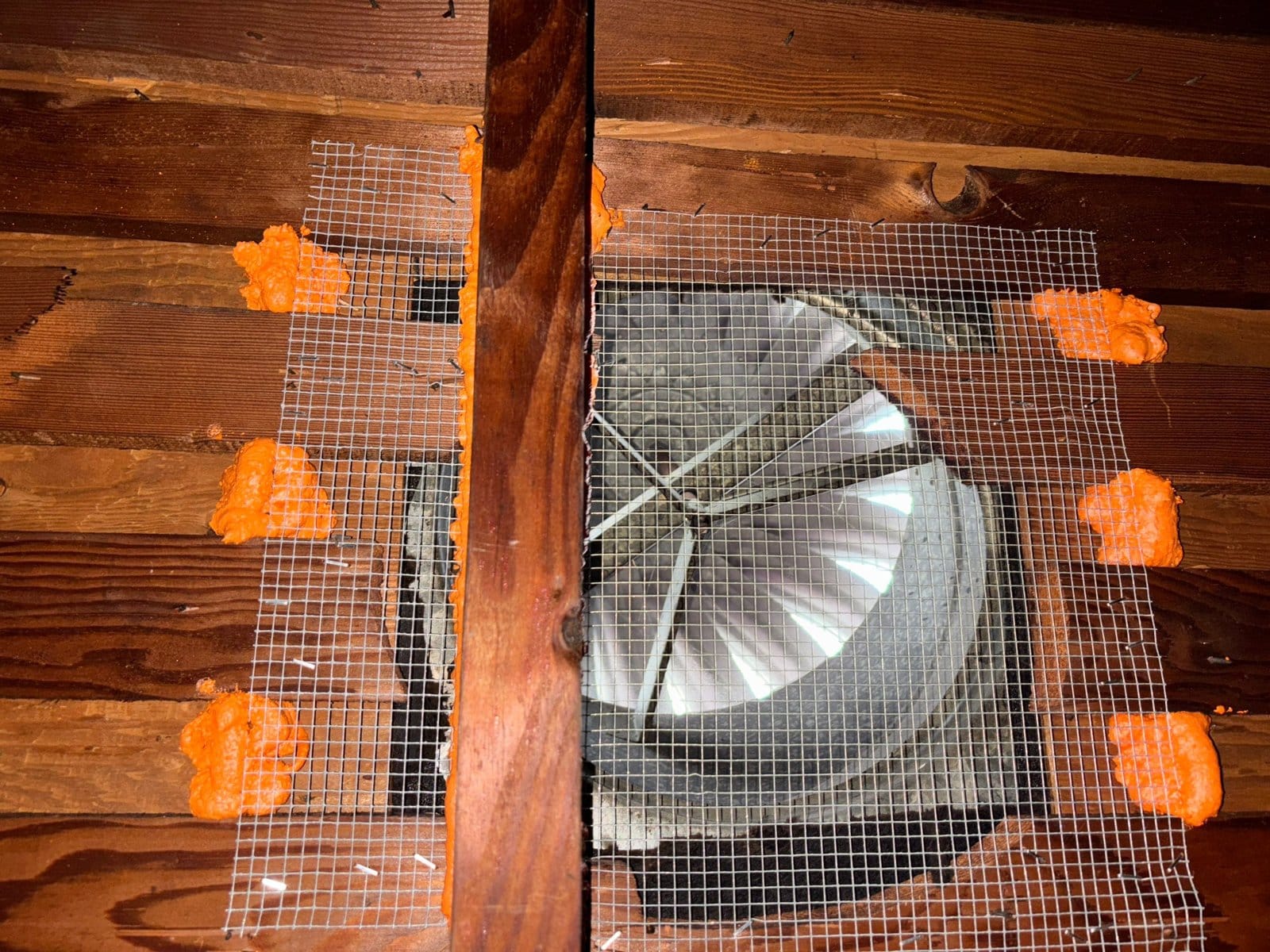 Attic vent sealed with wire mesh and foam in Los Angeles