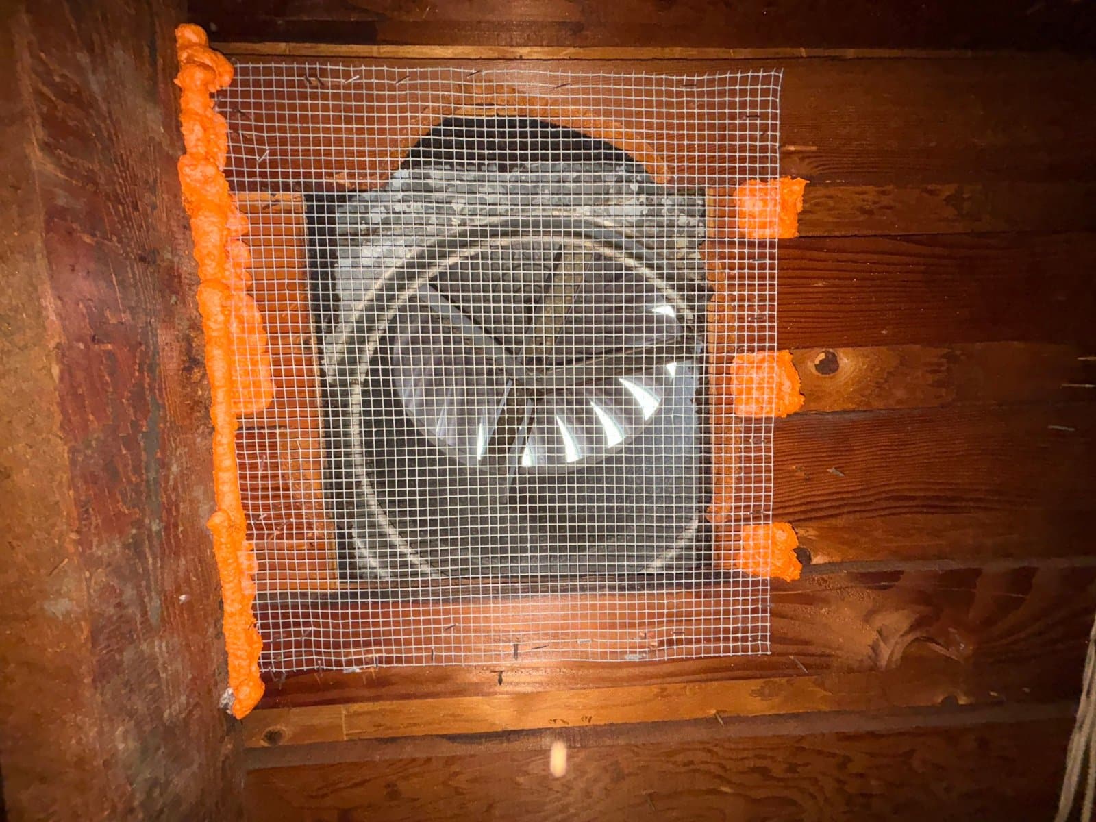 Second attic vent sealed with wire mesh and foam in Los Angeles