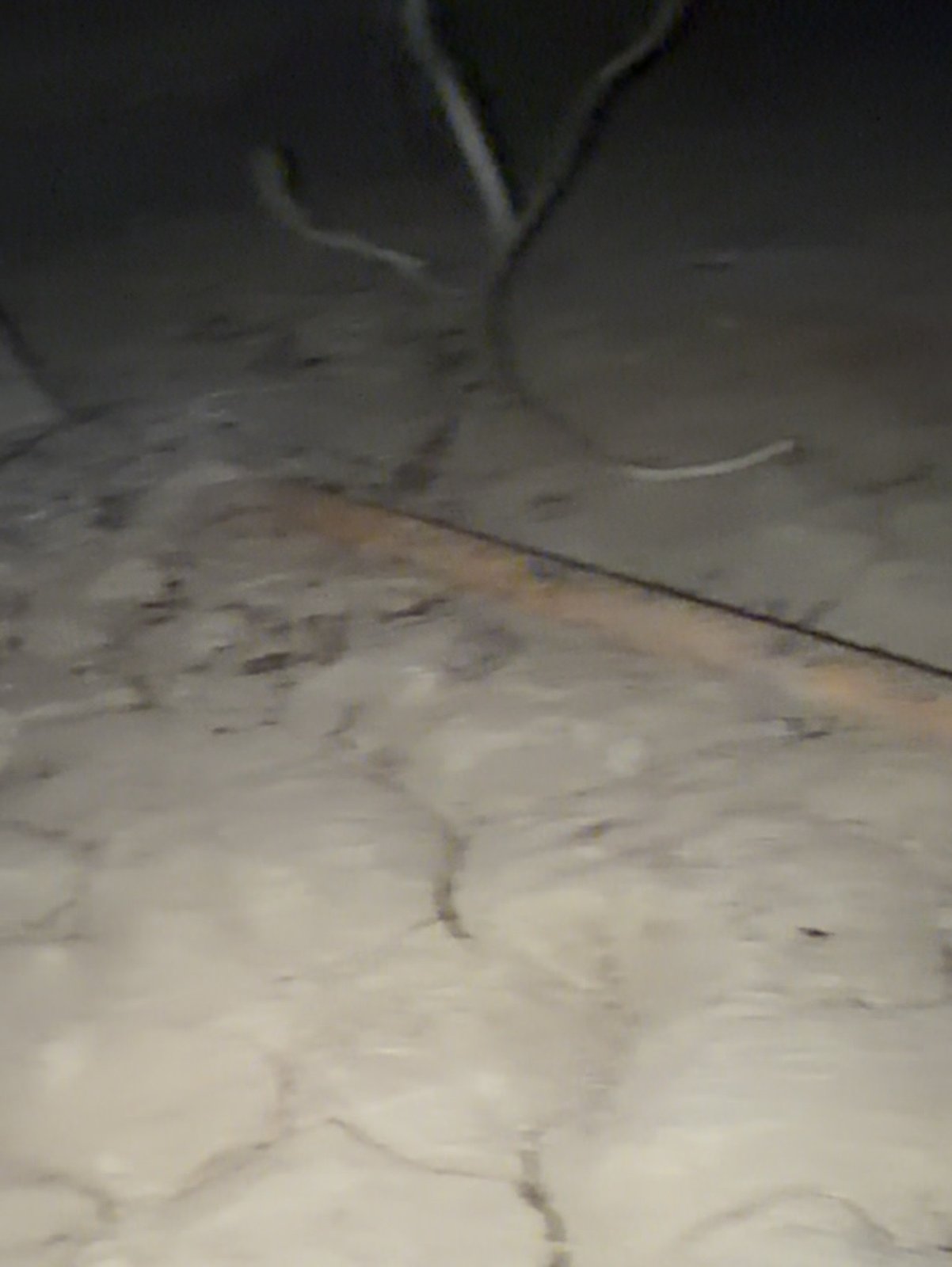 Bare soil in the Monte Sereno crawl space before work
