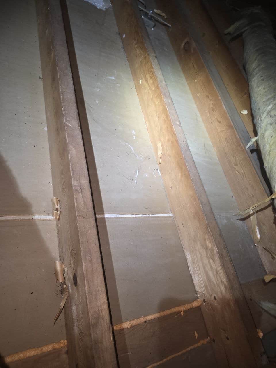 Attic Insulation Replacement & Rodent Proofing in Mountain View, CA