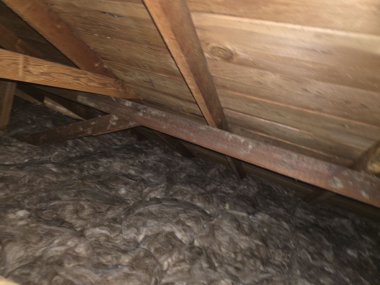 Another area of old insulation in the Mountain View attic before work