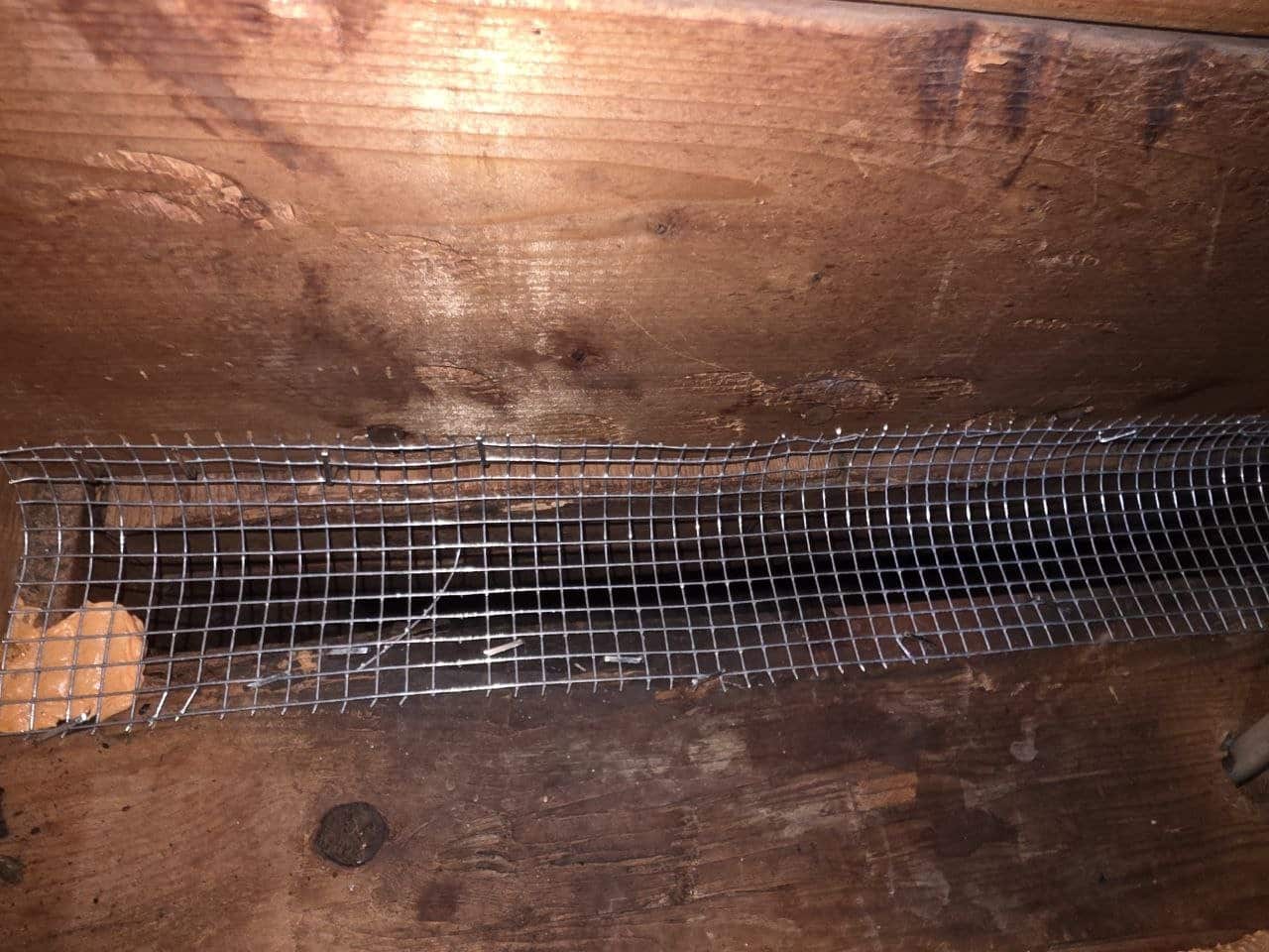 Wire mesh rodent proofing at an attic edge in Mountain View