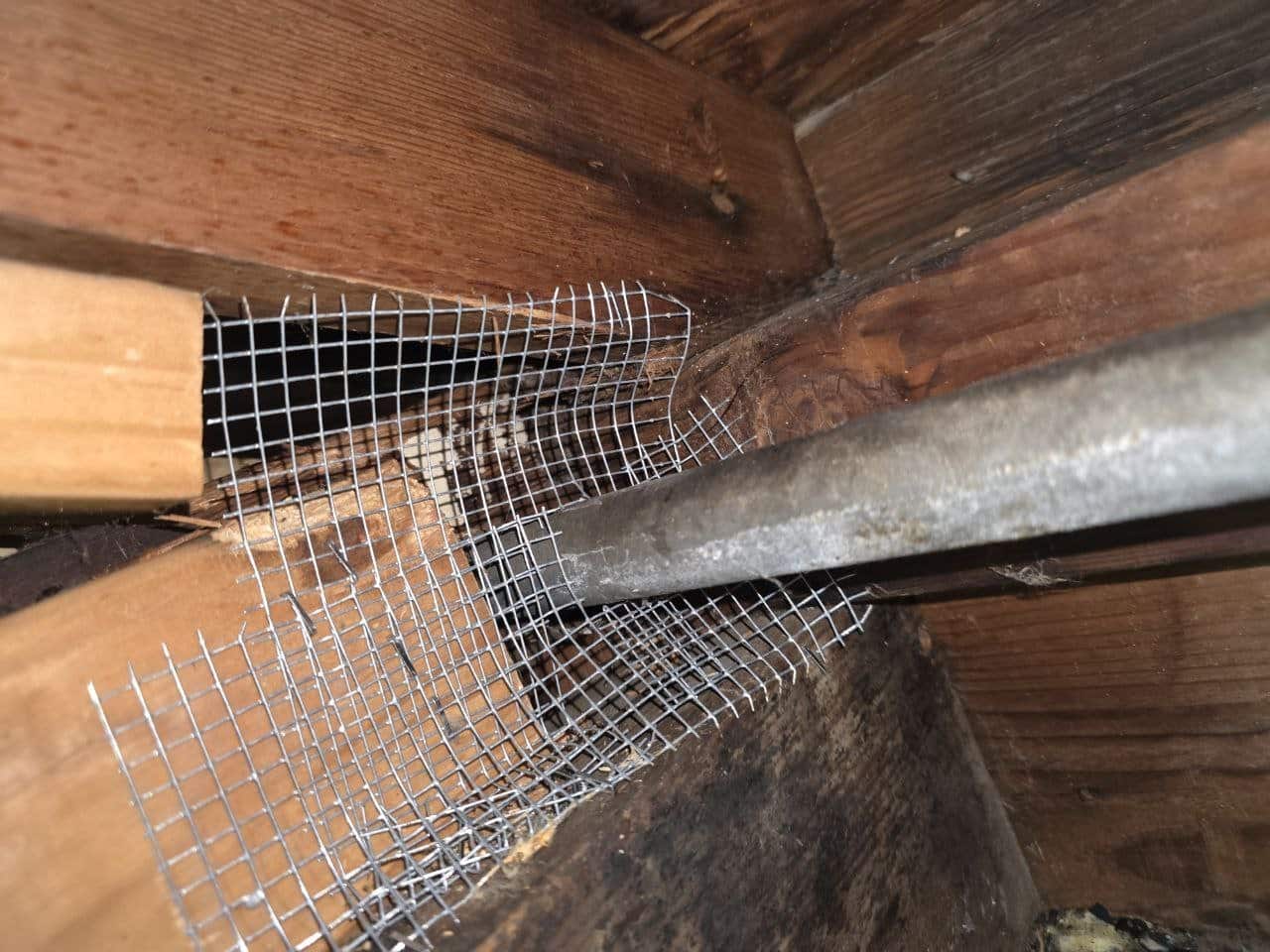 Wire mesh rodent proofing around a flue in a Mountain View attic