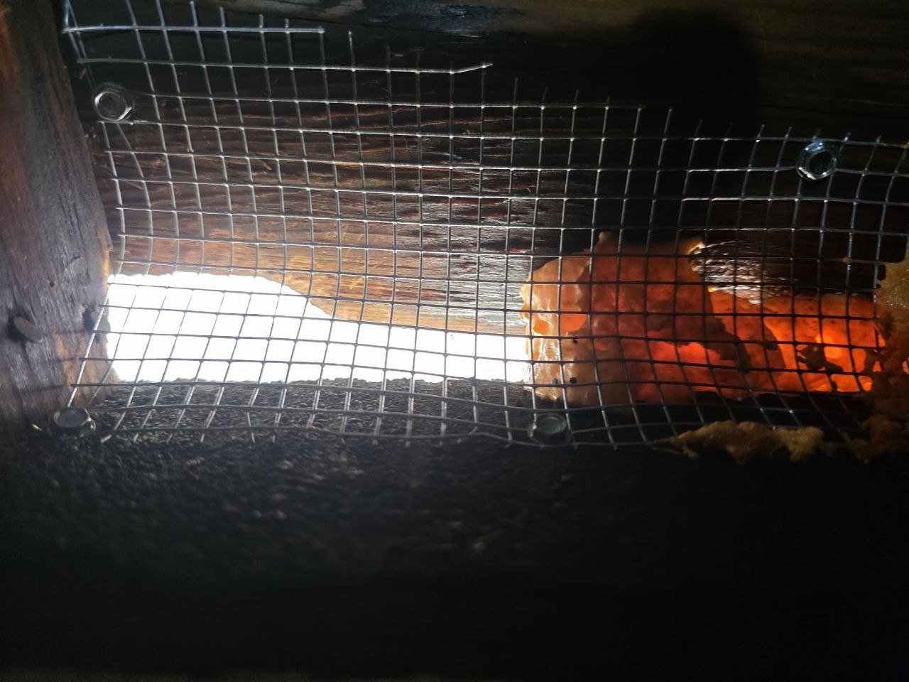 Attic vent screened with wire mesh in Mountain View