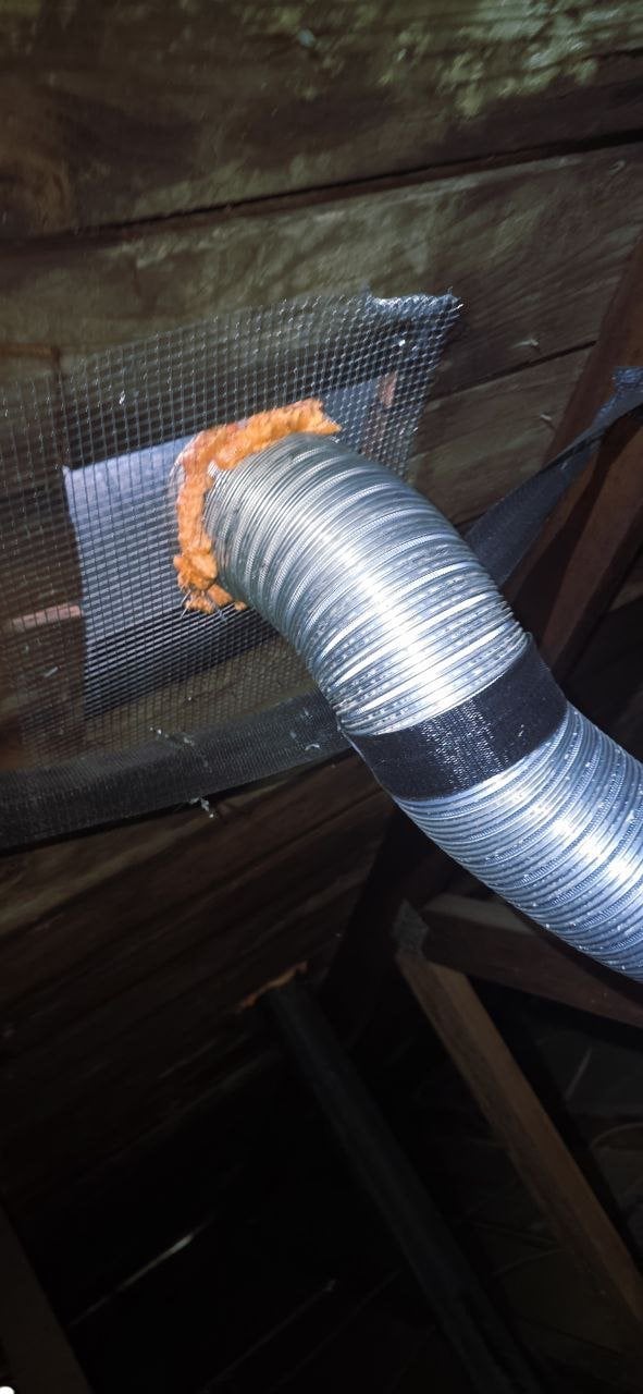 Wire mesh and foam sealed around a pipe in a Napa attic