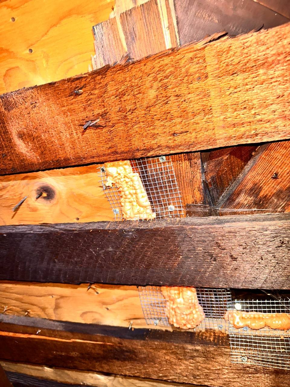 Wire mesh and foam sealing an attic opening in Oakland