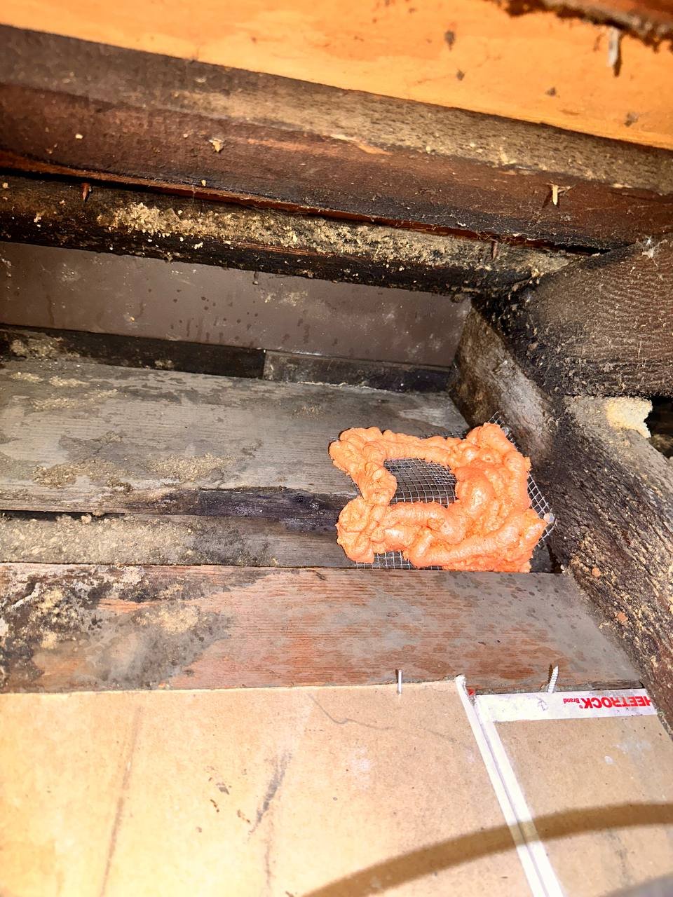 Rodent proofing with wire mesh and polyurethane foam in a Oakland attic