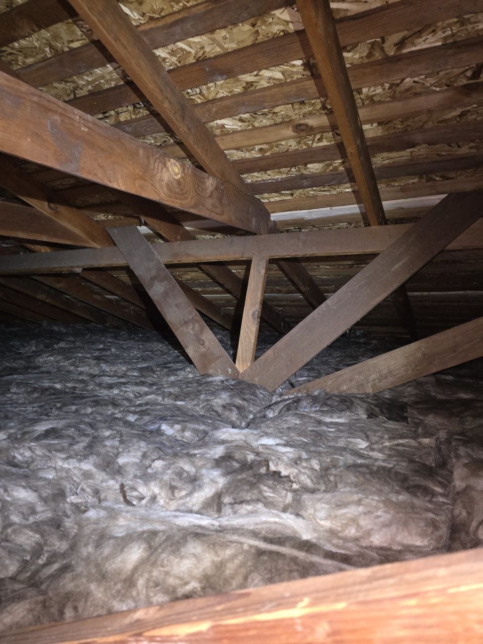 Attic Insulation Replacement & Rodent Proofing in Oakland, CA