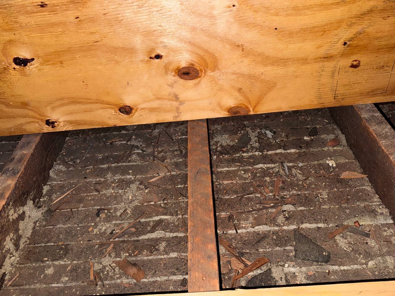 Oakland attic after removal, joists and deck cleaned