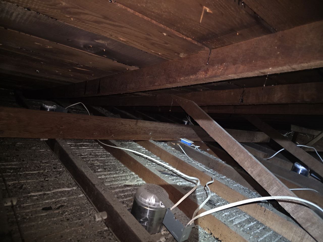 Attic Insulation Replacement & Rodent Proofing in Oakland, CA