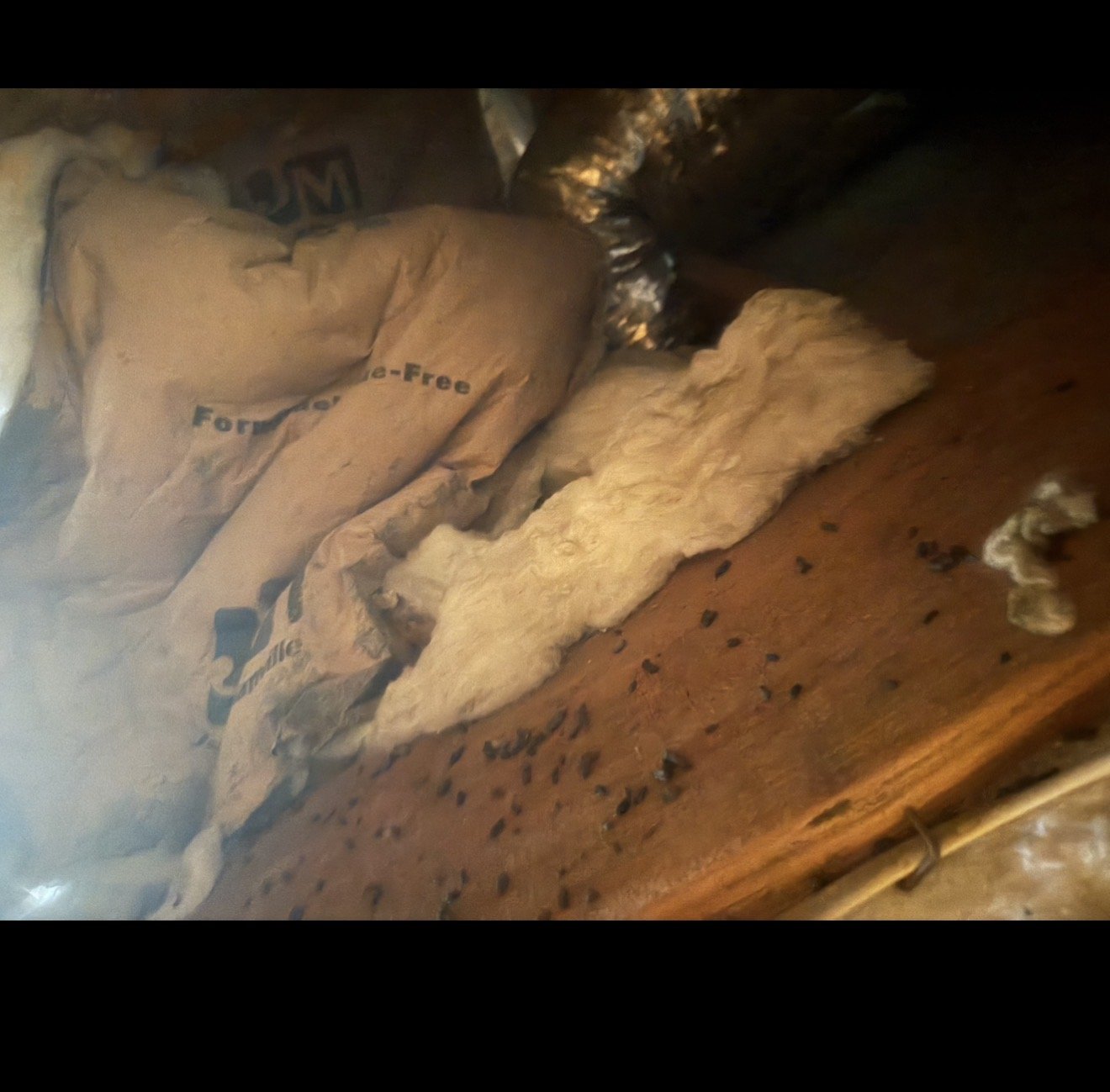 Rodent droppings found in the Oakland attic before work