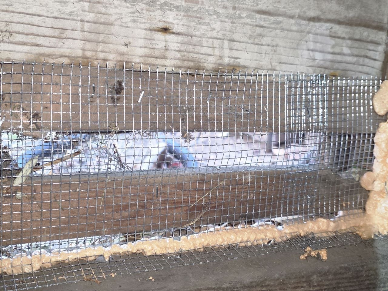 Attic vent sealed with wire mesh and foam in Oakland