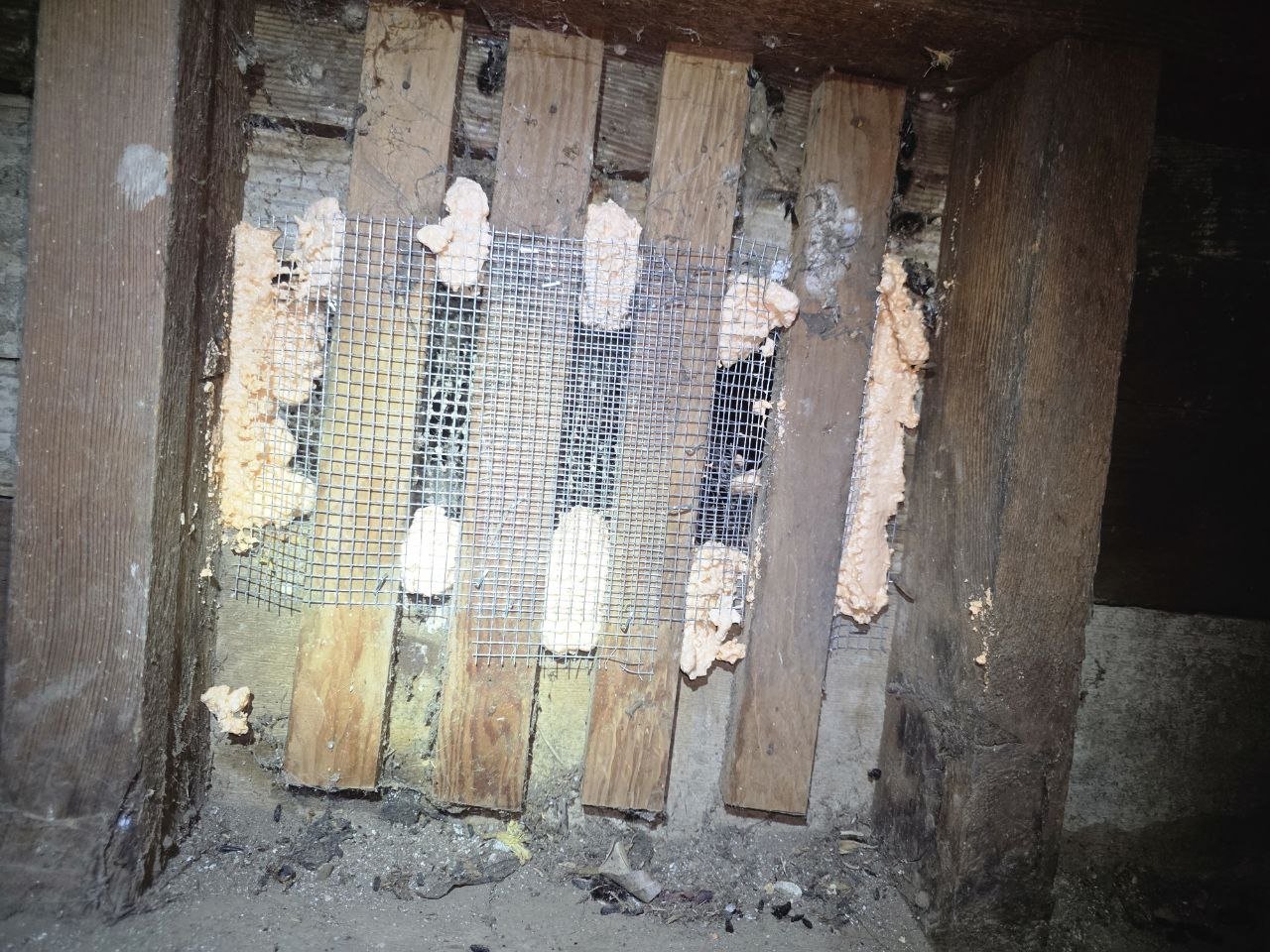 Wire mesh and foam sealing an attic opening in Oakland