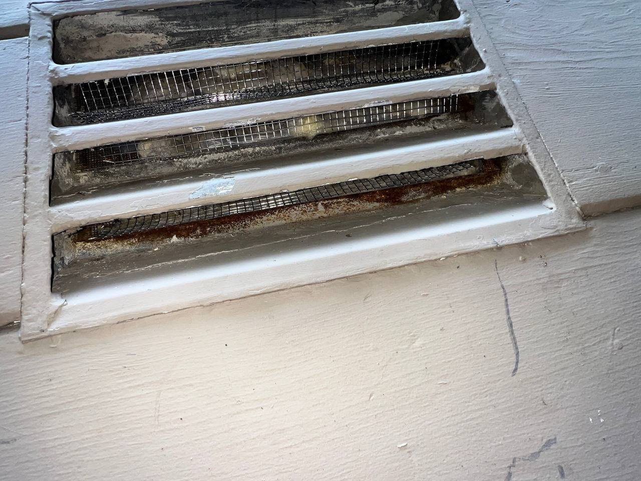 Louvered vent screened with wire mesh on a Oakland home