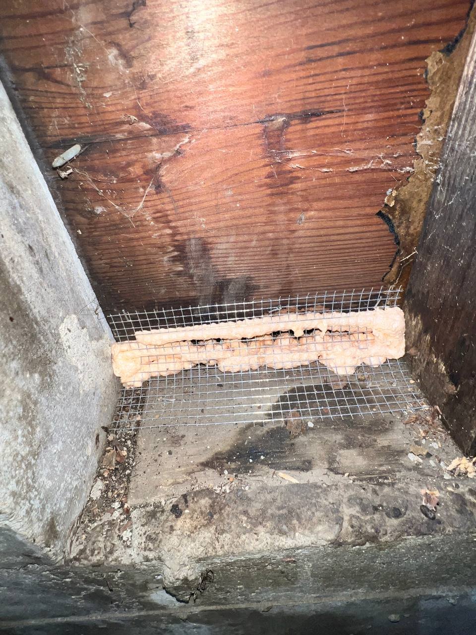 Gap at the framing sealed with wire mesh and foam in Oakland