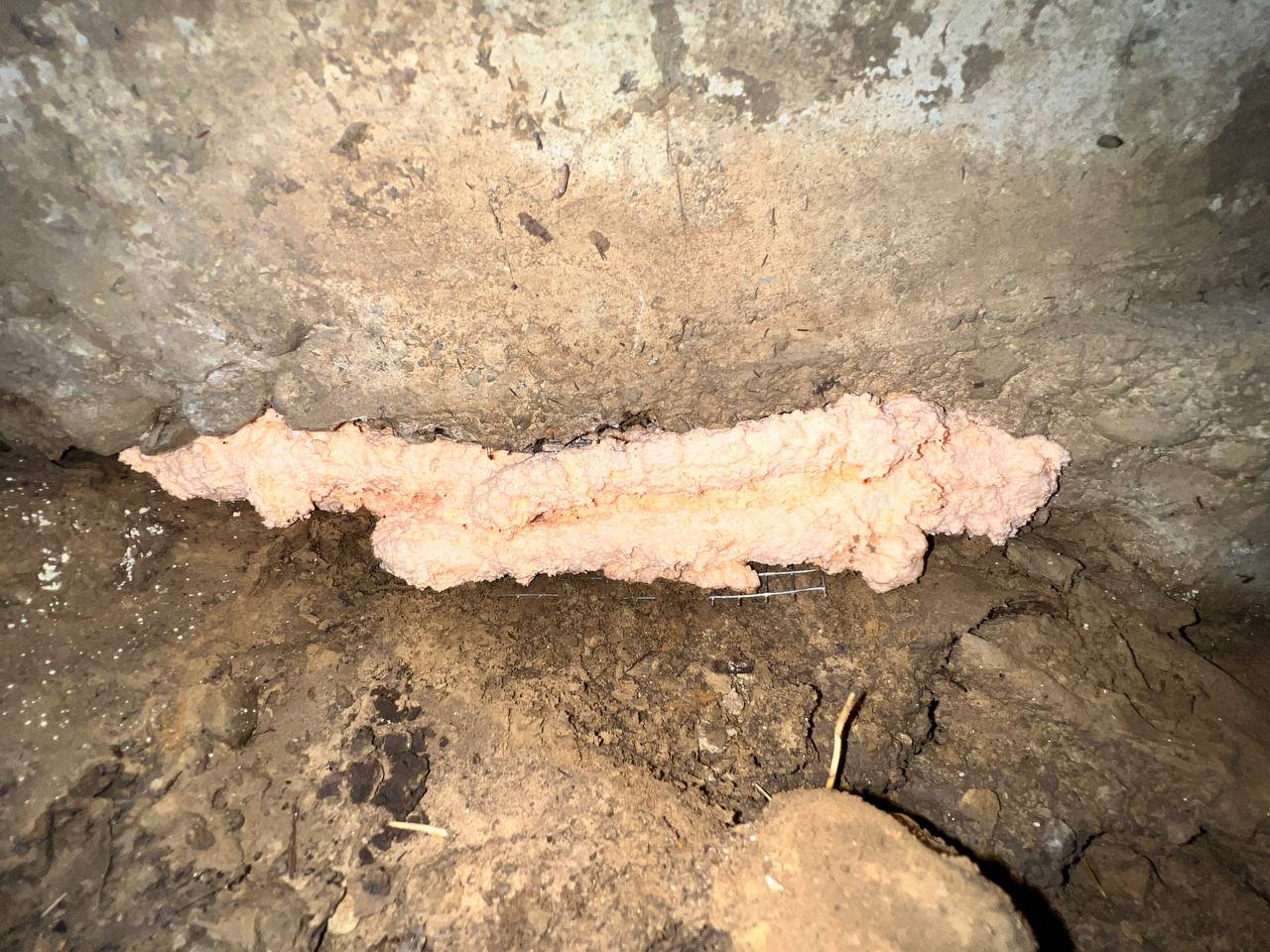 Foam sealing a gap above the soil in a Oakland home