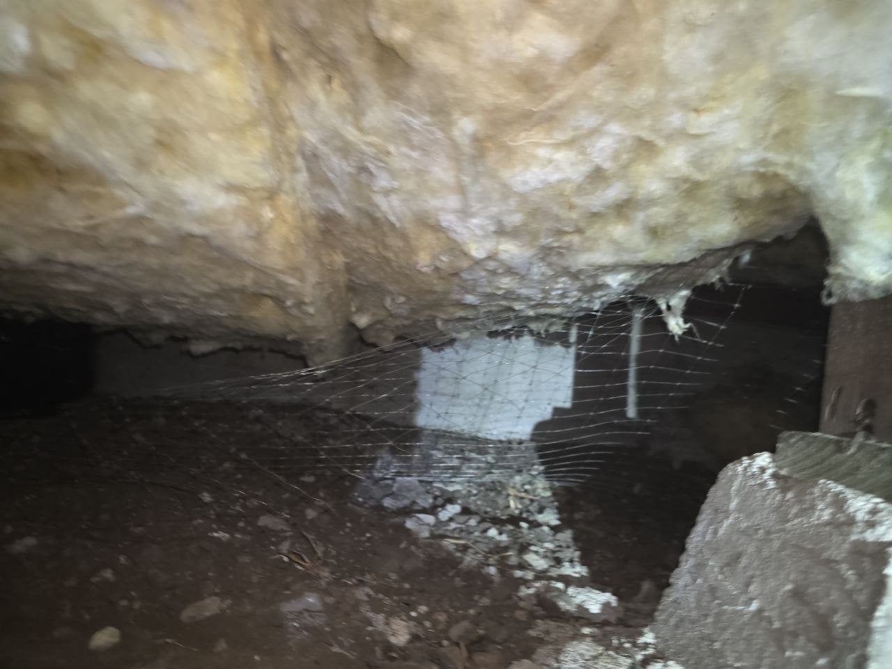 Sagging old insulation in a Palo Alto crawl space before work