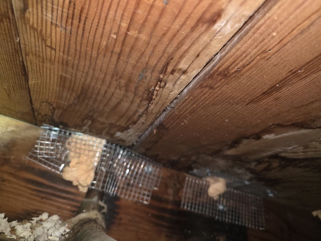 Wire mesh and foam sealing pipe penetrations under a Palo Alto floor