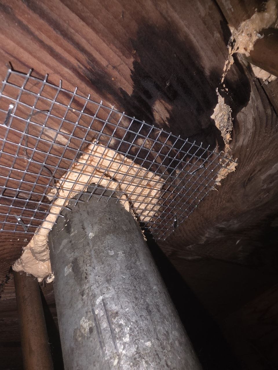 Wire mesh and foam around a pipe in a Palo Alto home