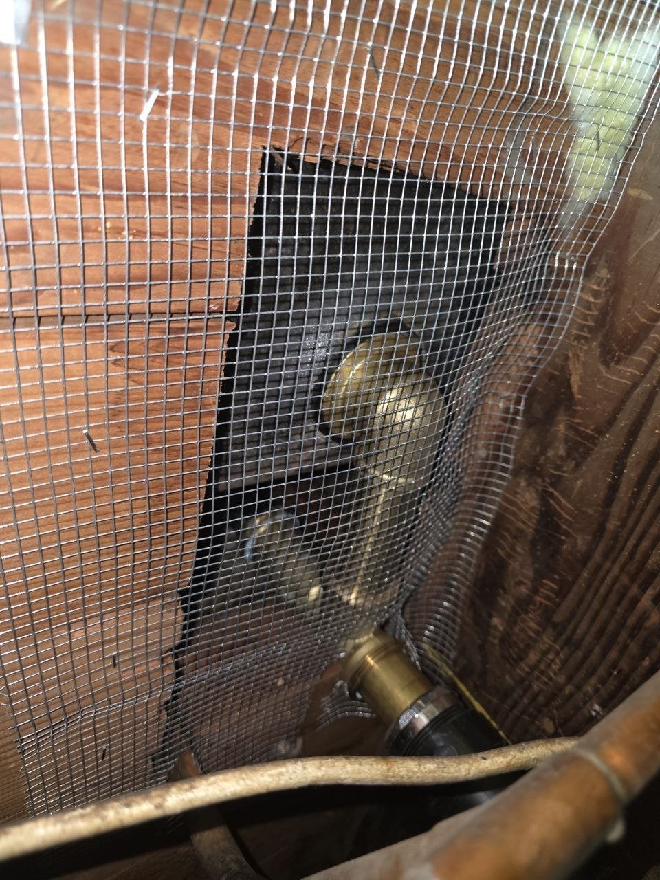 Wire mesh screening an opening around plumbing in Palo Alto