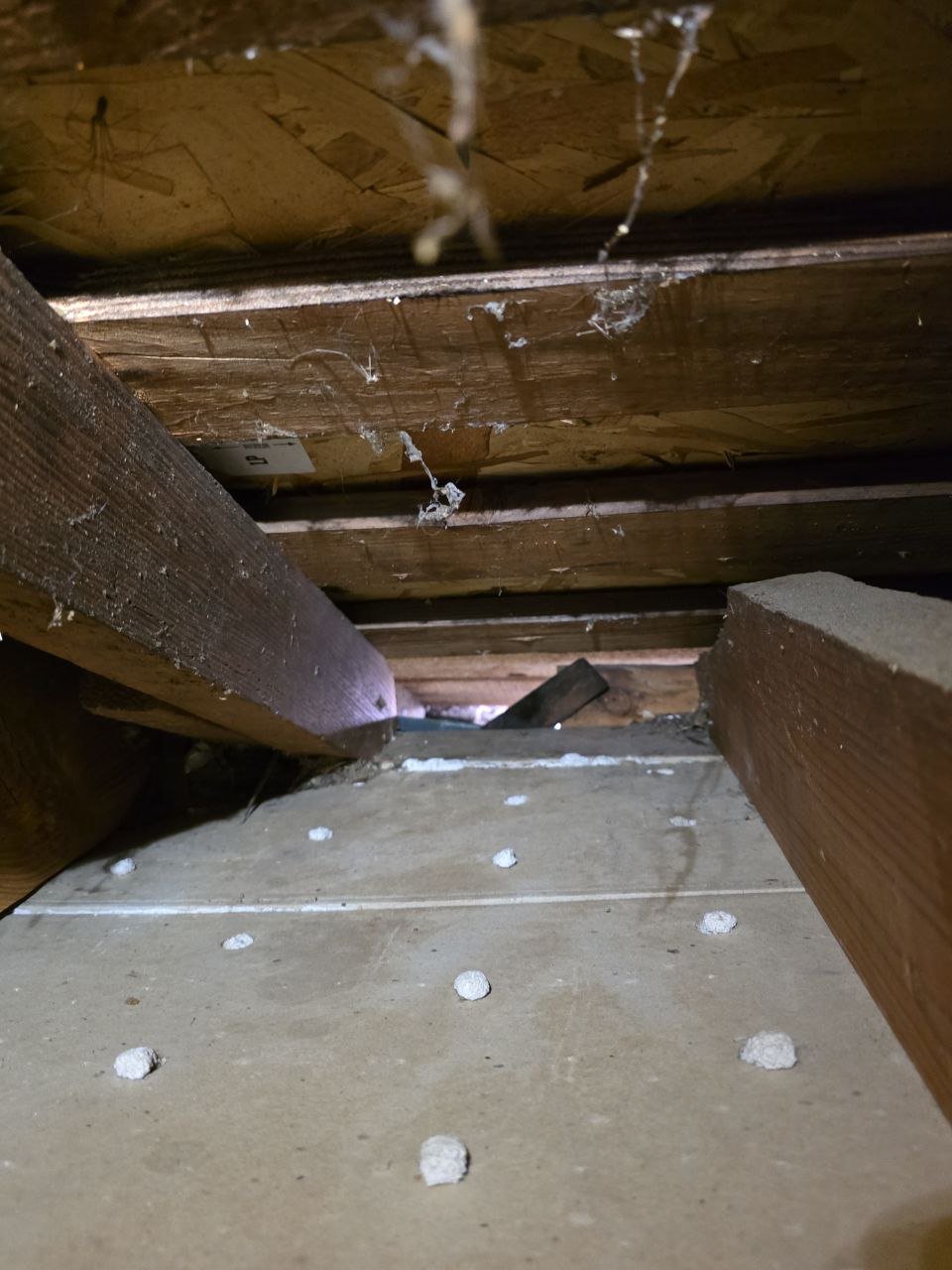 Cleared attic deck in Palo Alto