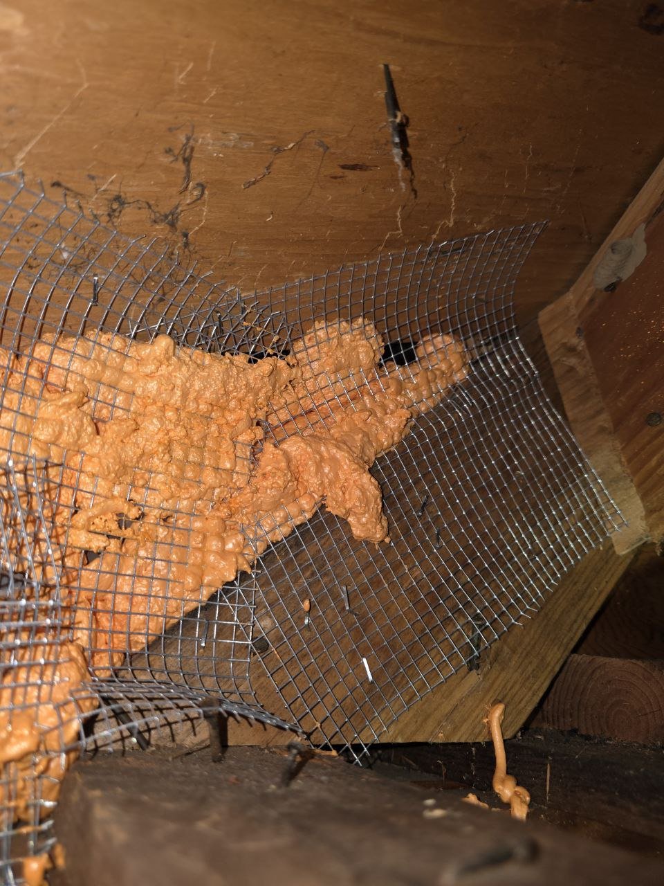Wire mesh and foam sealing an attic opening in Palo Alto