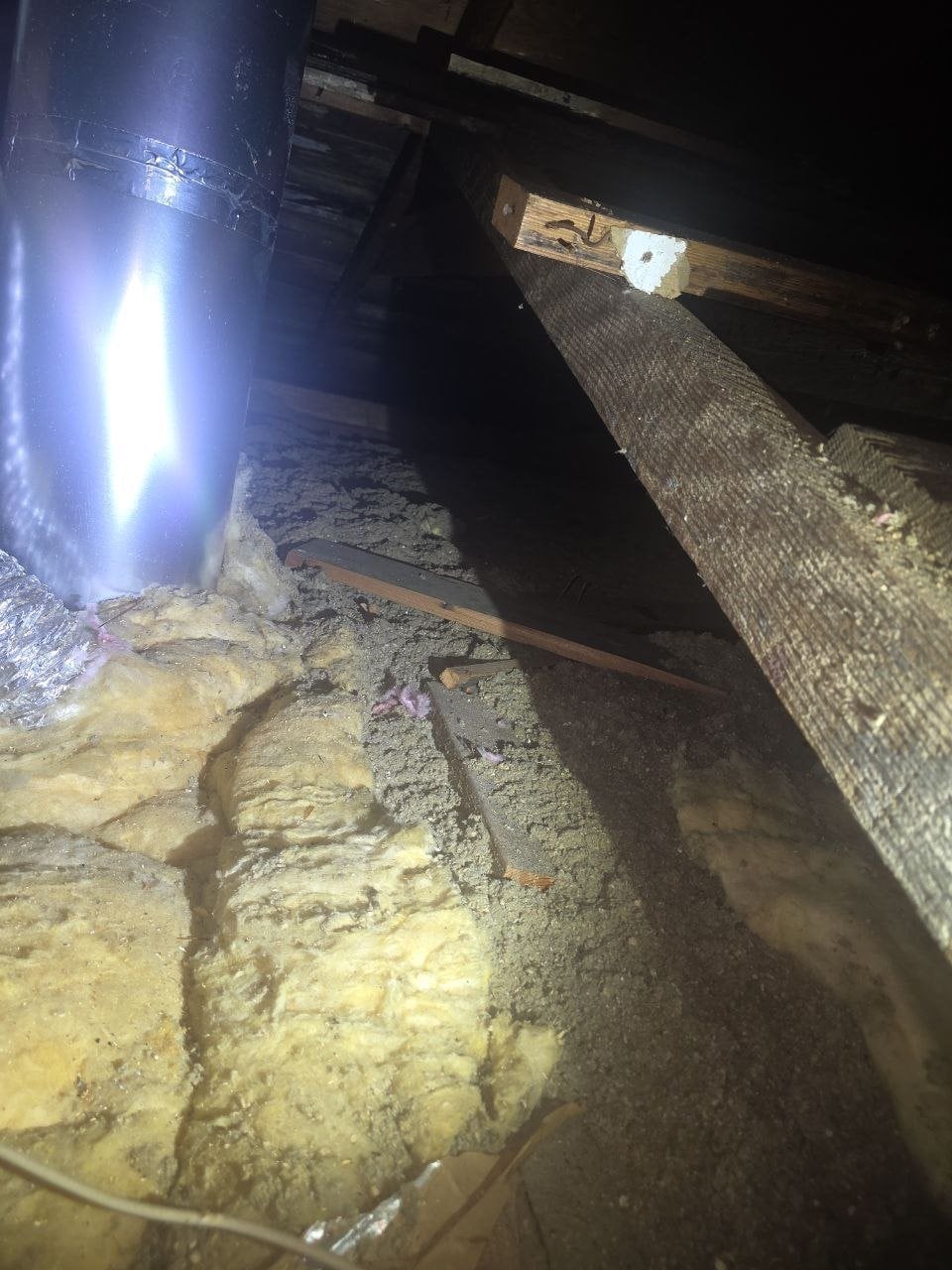 Petaluma attic before work, old insulation
