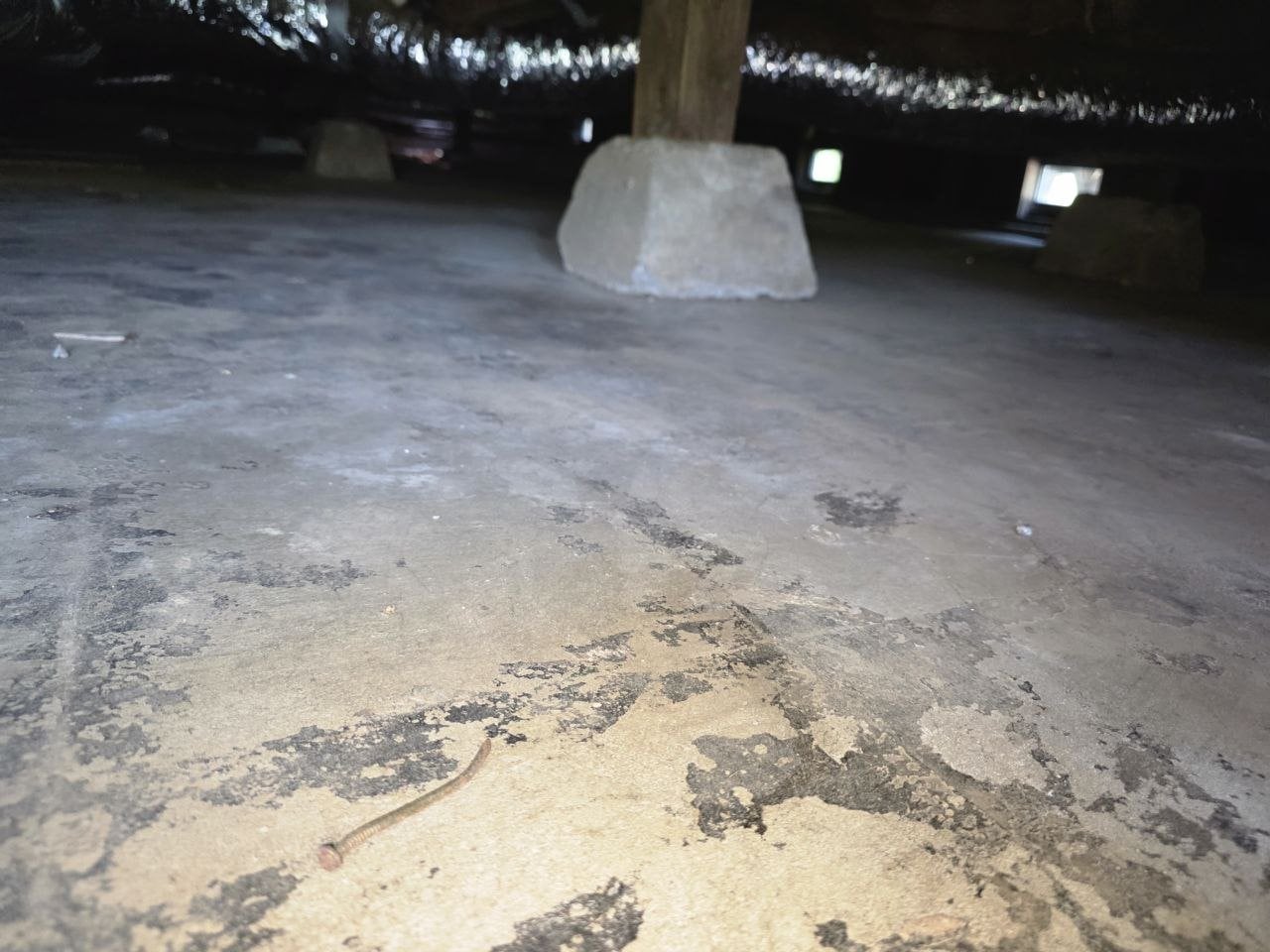 Petaluma crawl space before work, bare soil