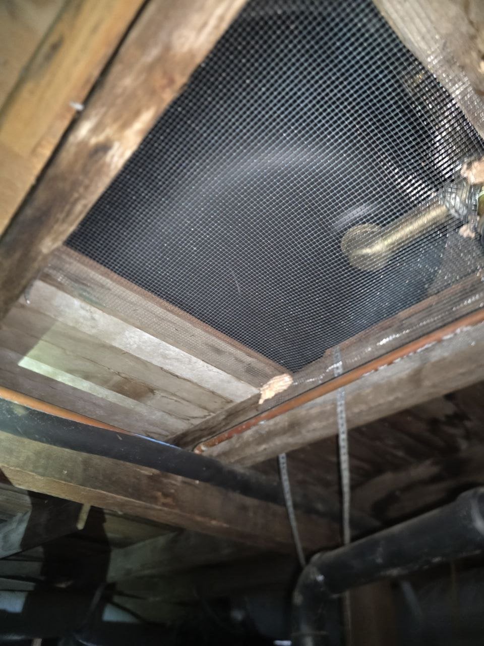 Opening around a pipe screened with wire mesh in Petaluma