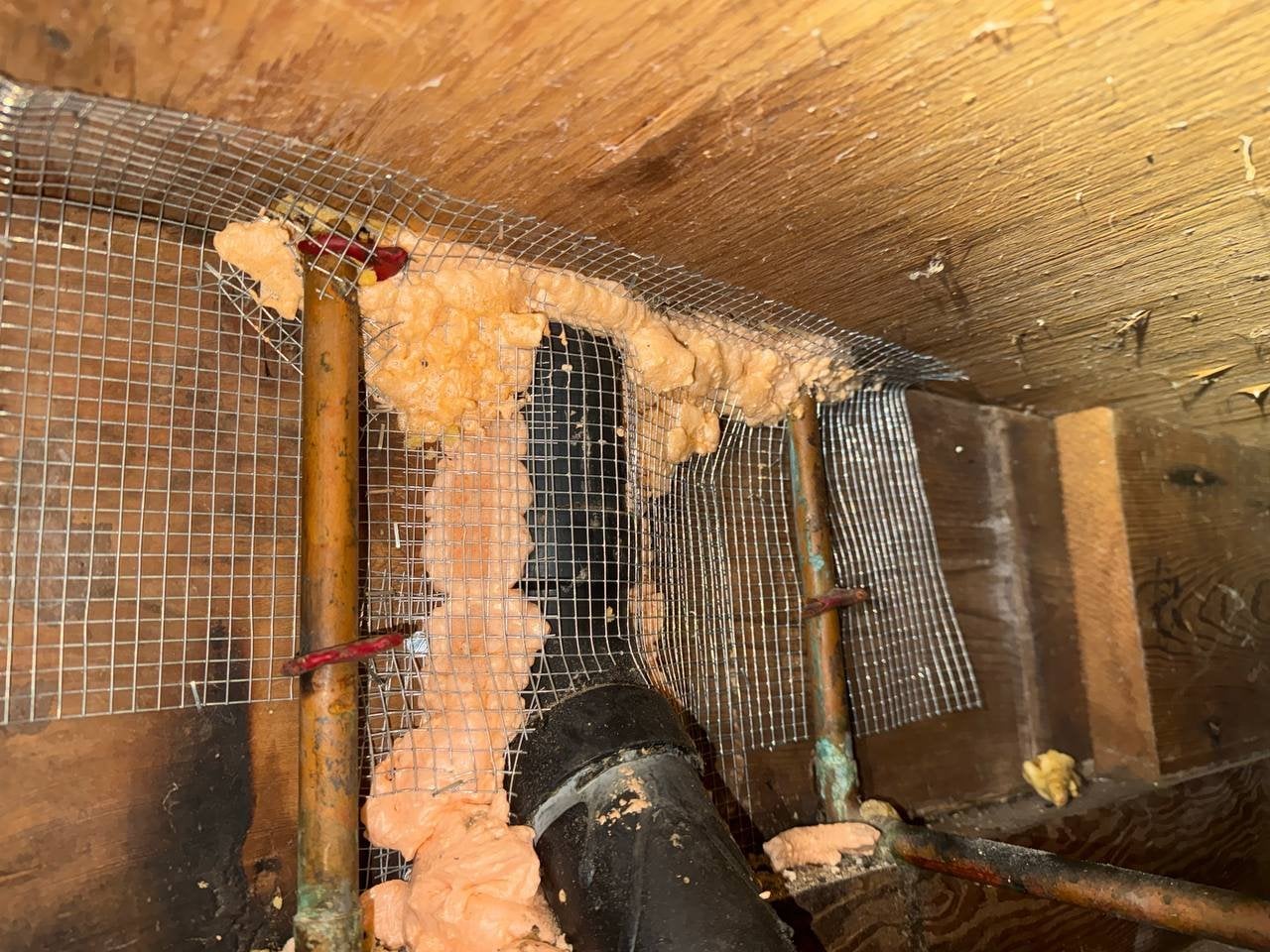 Wire mesh and foam around pipe penetrations in a Petaluma home