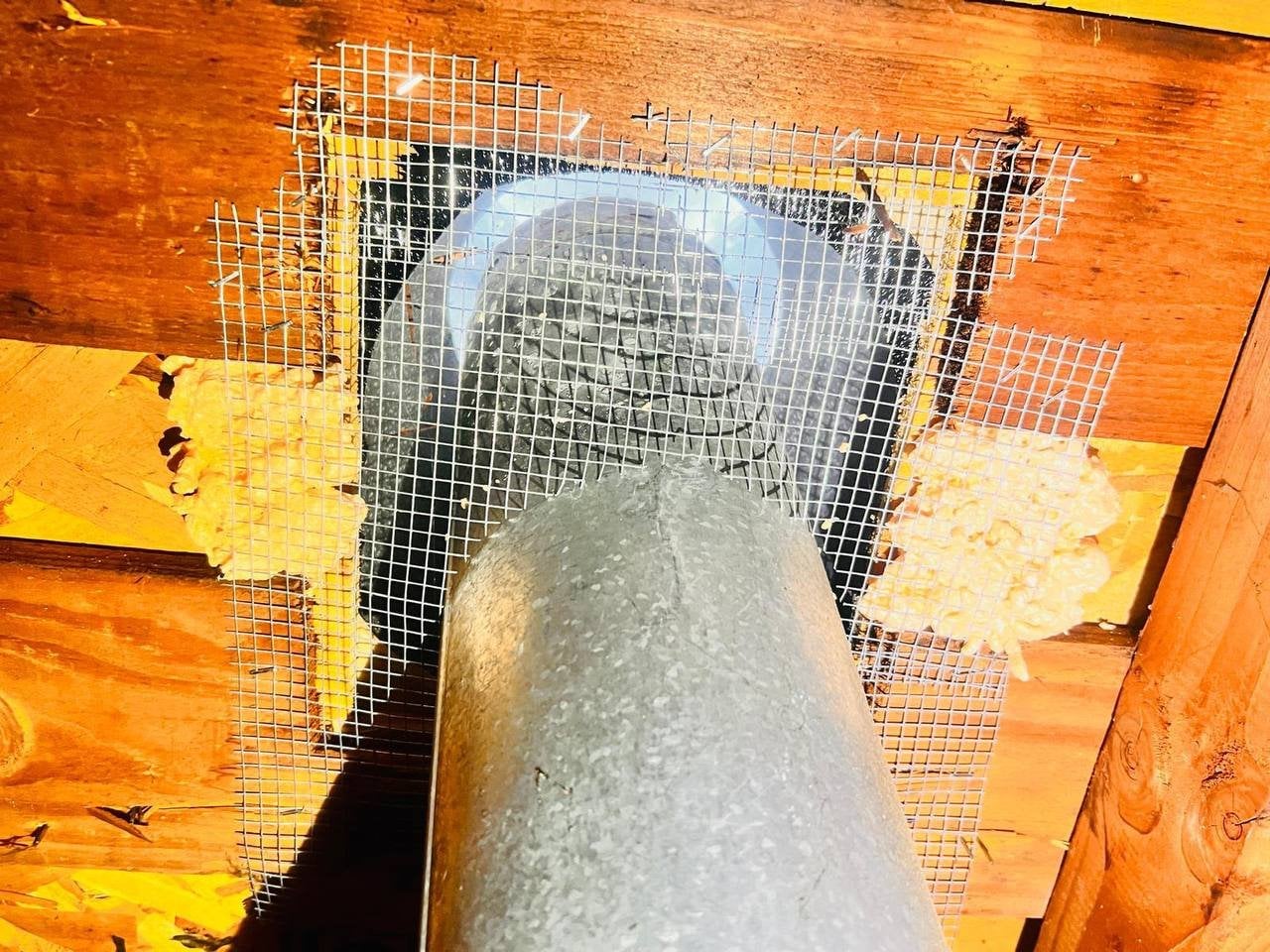Wire mesh sealed around a duct penetration in Petaluma
