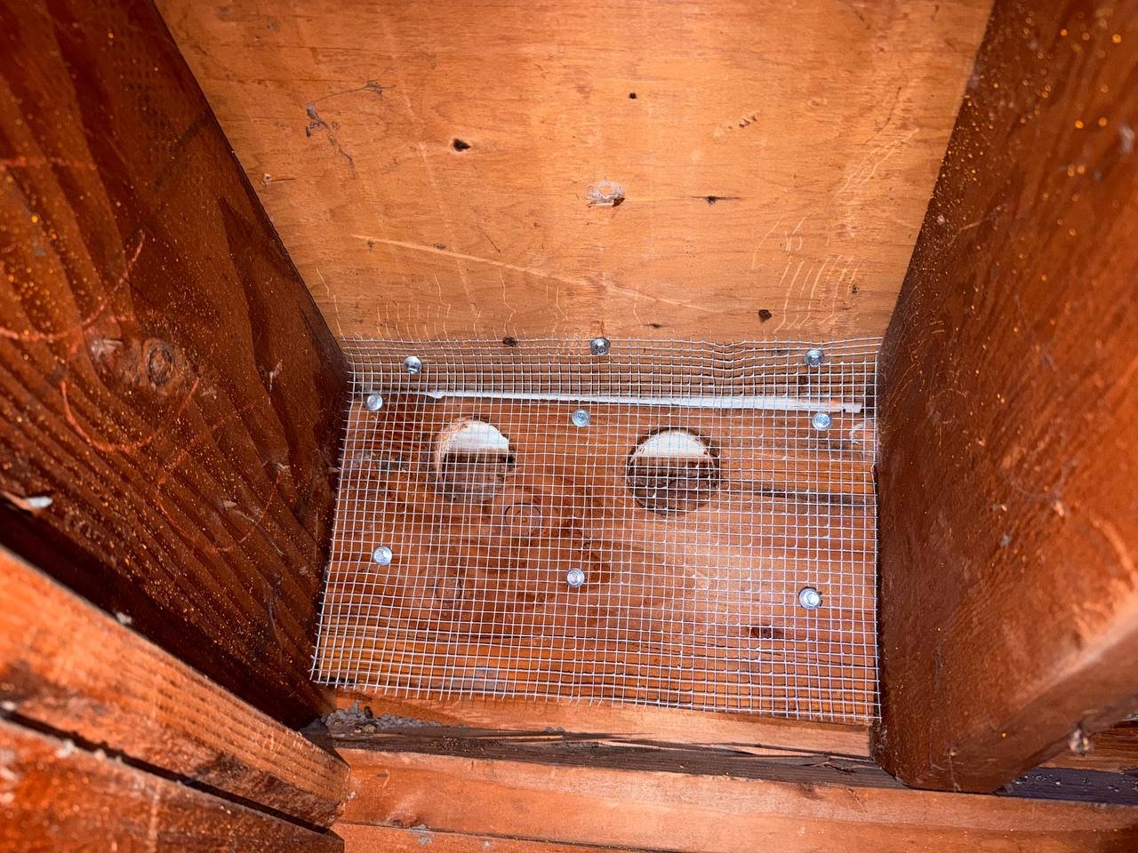 Attic vent screened with wire mesh in Pleasanton