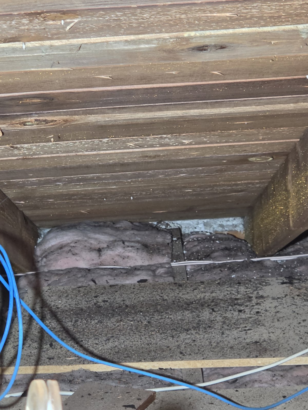 Redondo Beach attic before work, old insulation