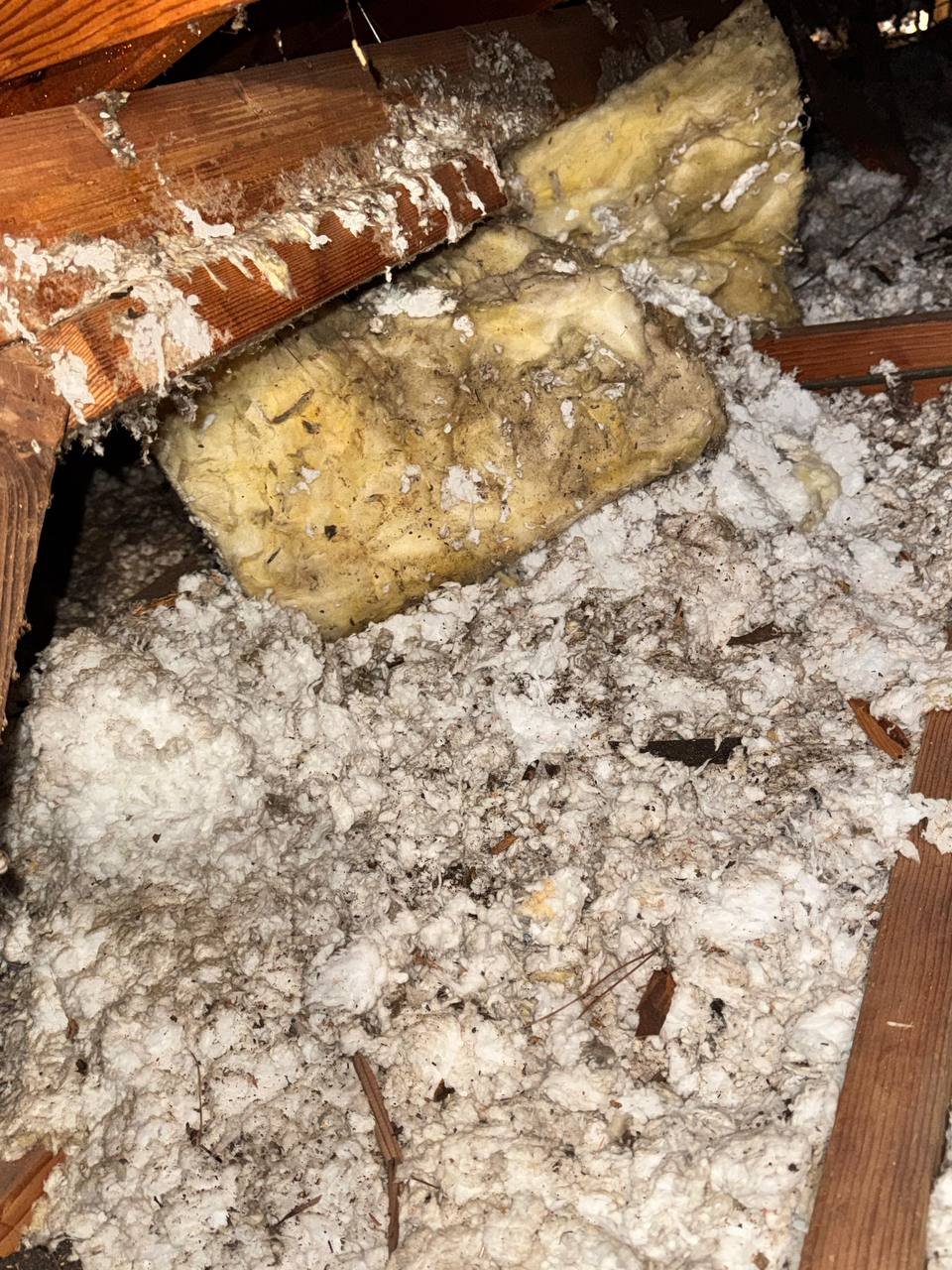 San Jose attic before work, old insulation