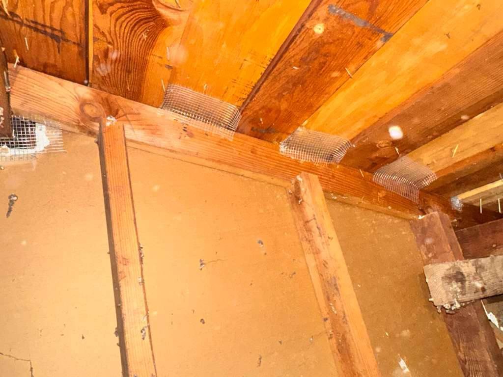 Wire mesh between attic rafters above the wall in San Jose