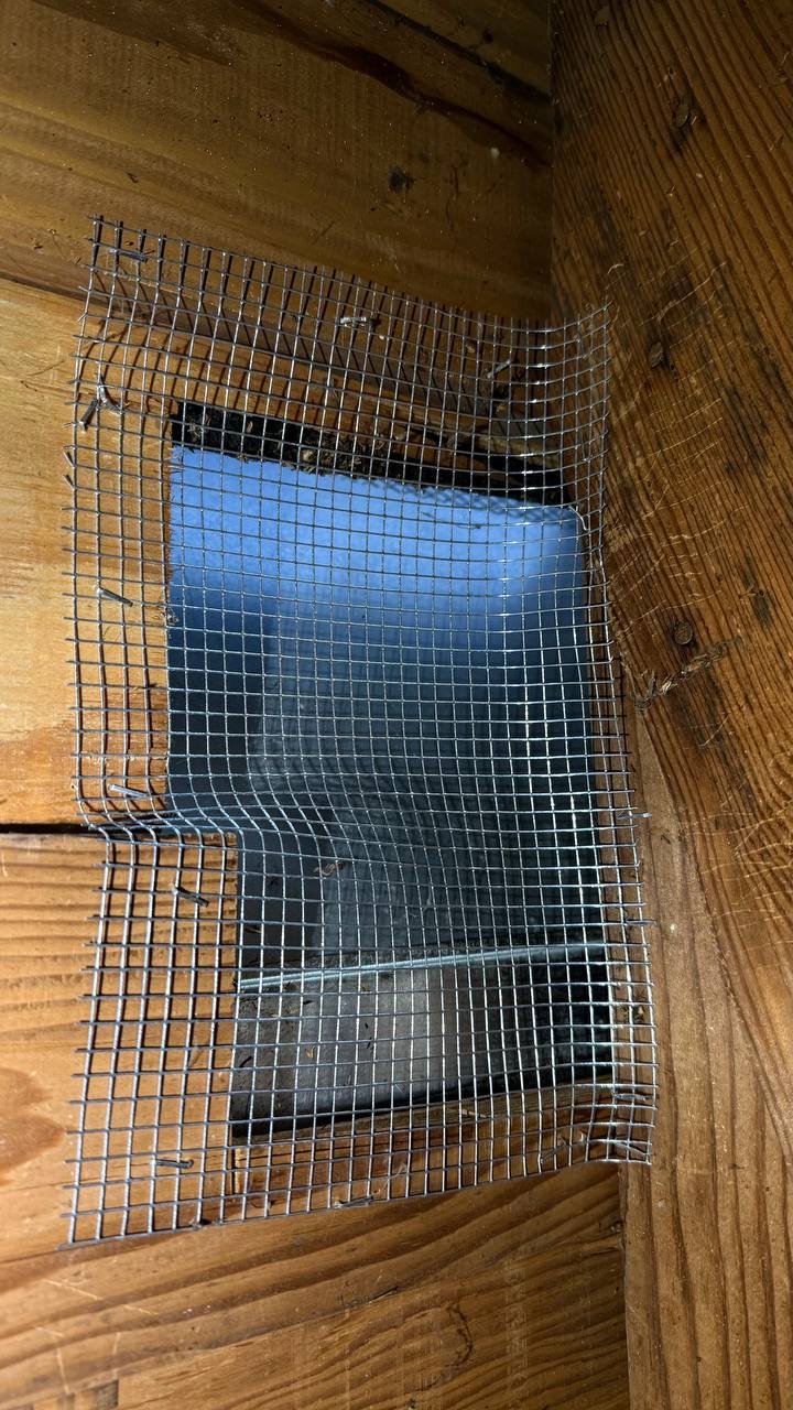 Attic vent screened with wire mesh in San Jose