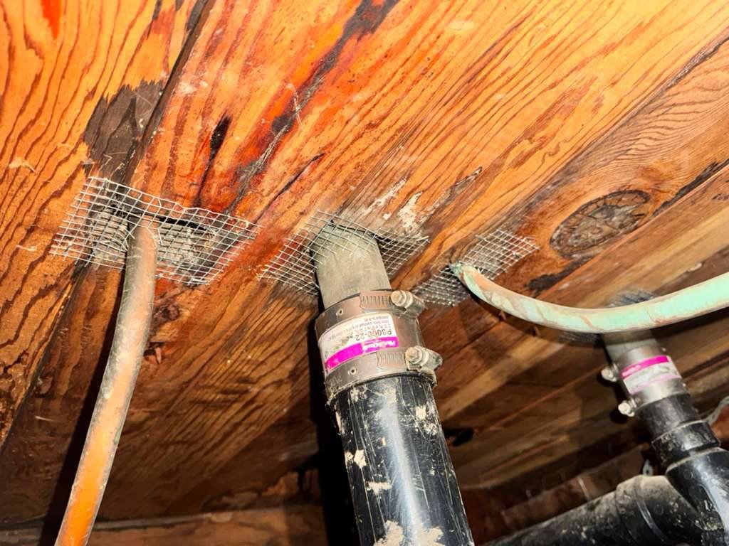 Wire mesh around pipe penetrations in San Jose