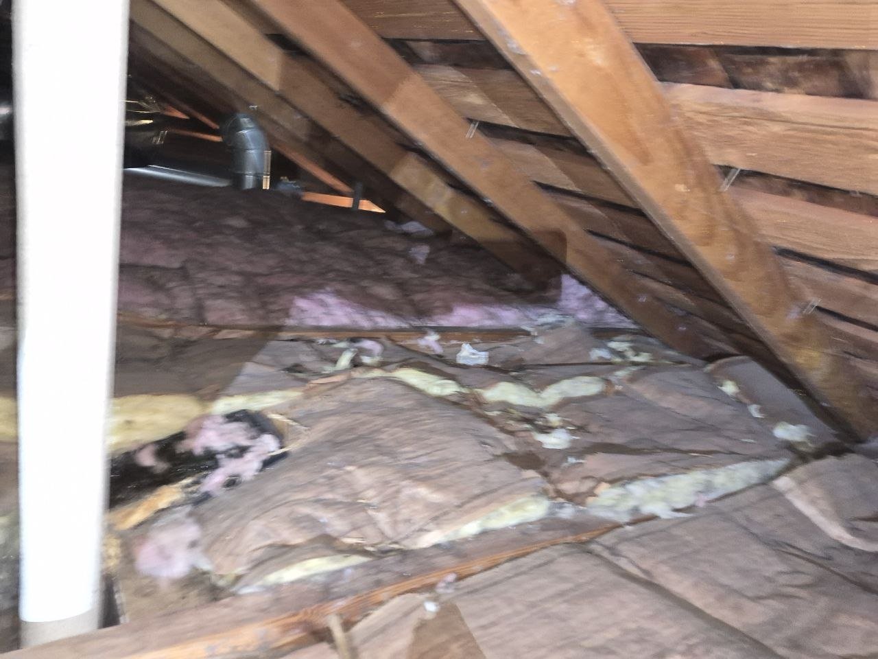 Another area of old insulation in the San Jose attic before work