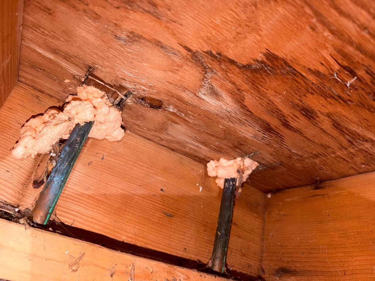 Foam sealing around pipe penetrations in San Jose