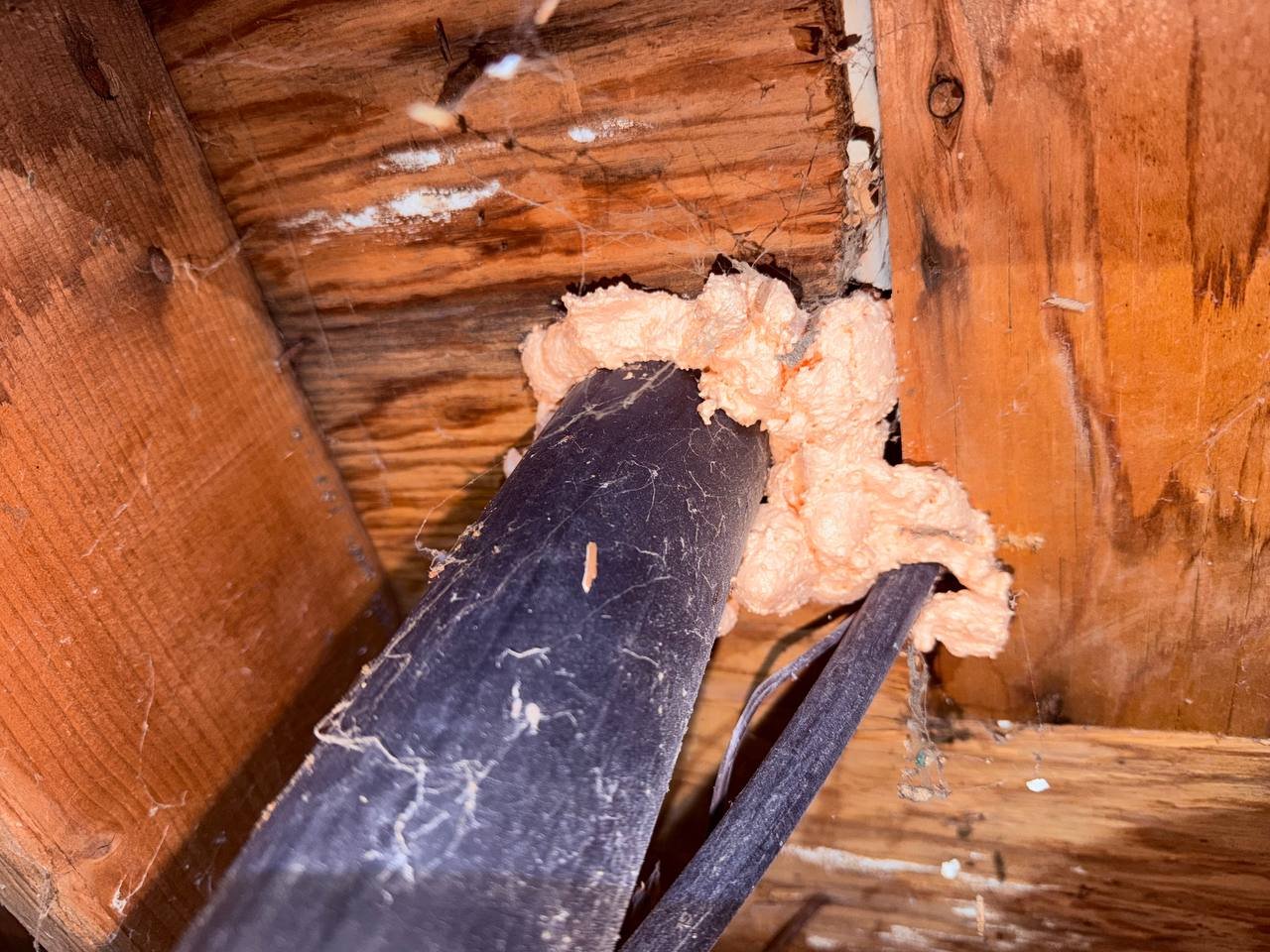Foam around a pipe penetration in San Jose