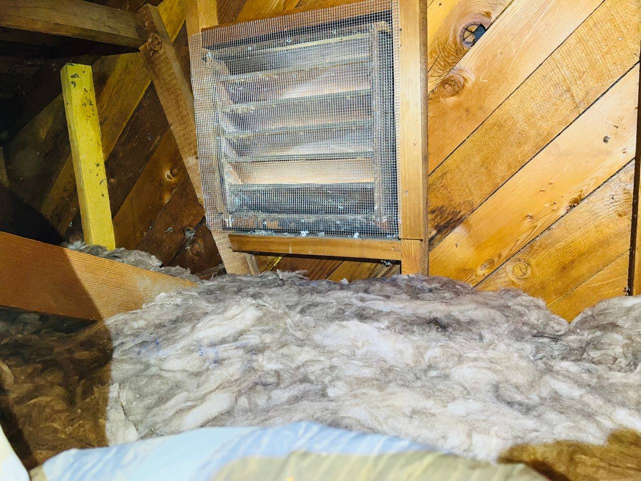 Another area of old insulation in the San Jose attic before work