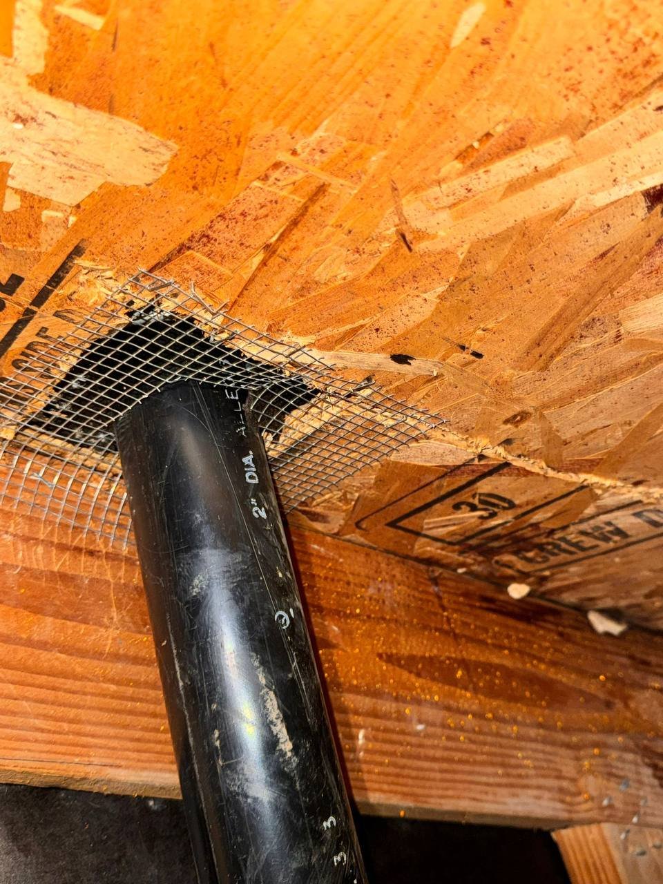 Wire mesh sealed around a pipe penetration in a San Jose attic