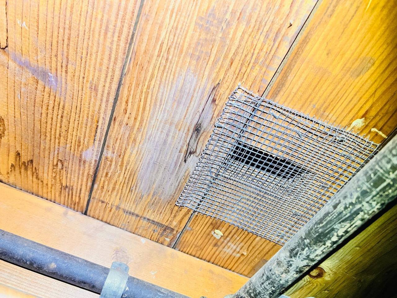 Attic vent screened with wire mesh in San Jose