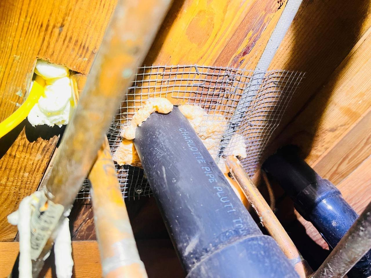 Wire mesh and foam sealing an attic opening in San Jose