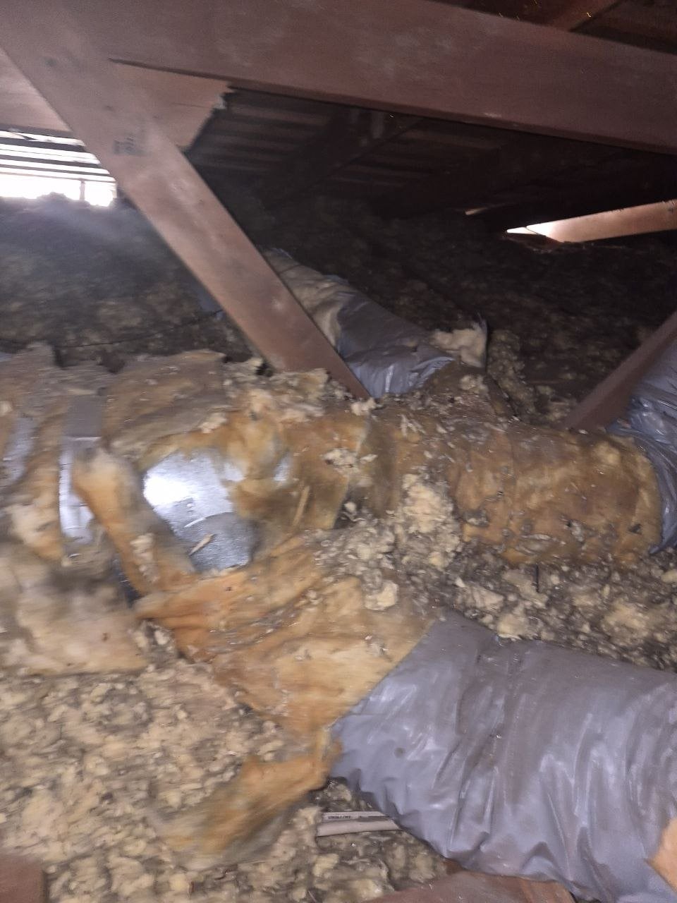 Old air ducts in old insulation in a San Jose attic before work